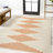 Dantrel Diamond Stripe Beige/Orange Indoor/Outdoor Rug-1678511517