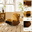 Fauteuil de jeu surdimensionné avec coussin moelleux pour la chambre à coucher et le salon-201657972