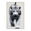  Tapis blanc lavable avec tigres du Bengale et grands chats-642939695