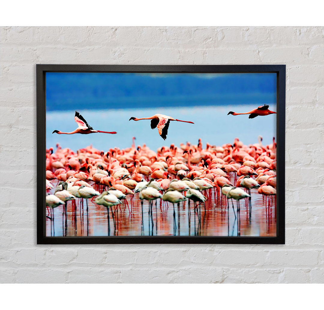 Rosa Flamingos im Flug - Einzelne Bilderrahmen Kunstdrucke auf Leinwand