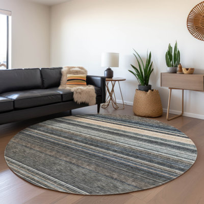 Chayden Washable Striped Indoor / Outdoor Rug
