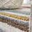 Monterey Chevron High-Low Multi/Cream Rug-118570374