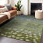 Tapis olive intérieur / extérieur lavable à la machine Xhevrie-1669091931