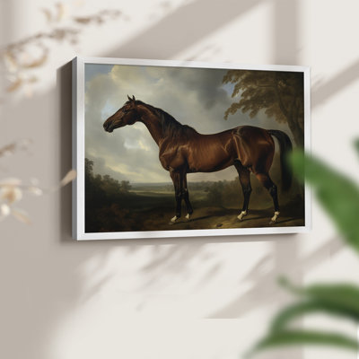 Faune, série LVII, reproduction encadrée