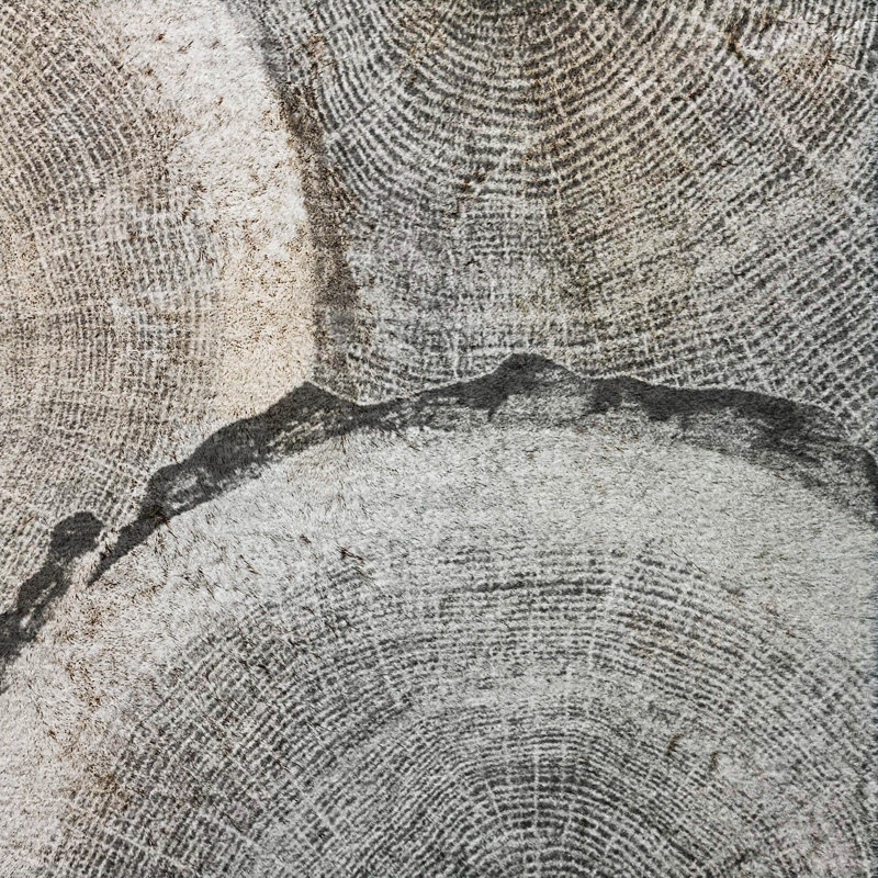Premium Machine Washable Dream Shag ADS575 Wood Slices Rug, Gray, 8' Round