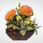 Succulent Plant in Planter