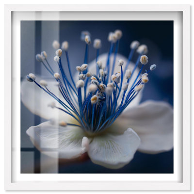 «Blue Supernova I Shadowbox», impression murale par Notoriart, cadre blanc, 31 x 31