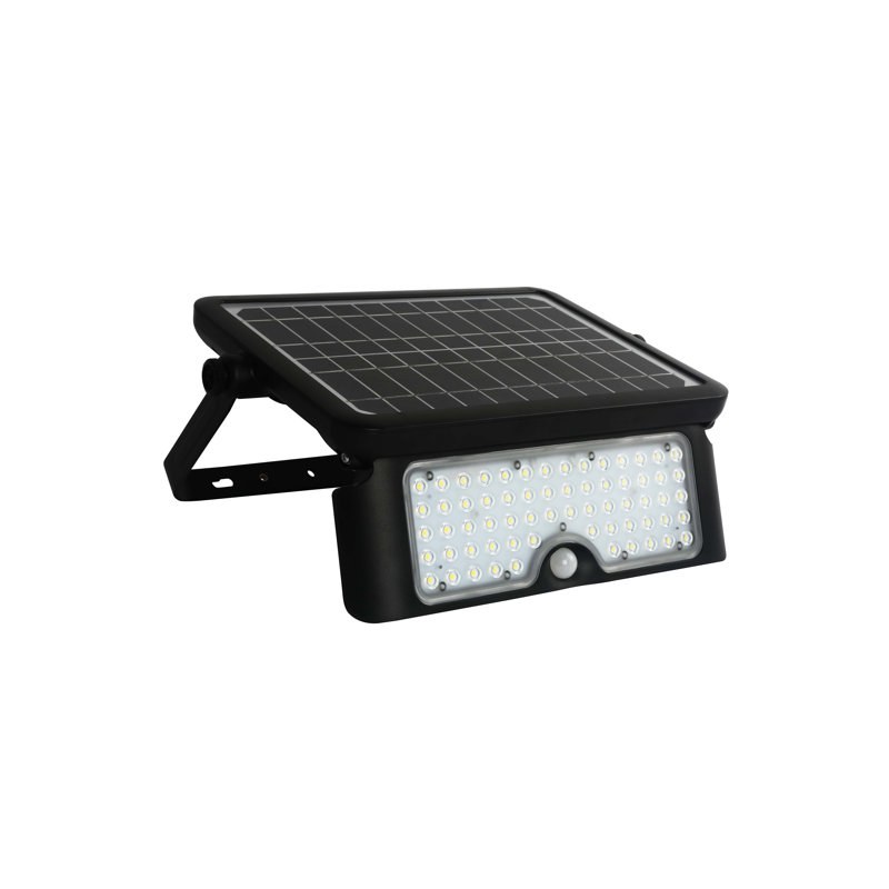 Projecteur noir intégré à énergie solaire à DEL, 10 watts