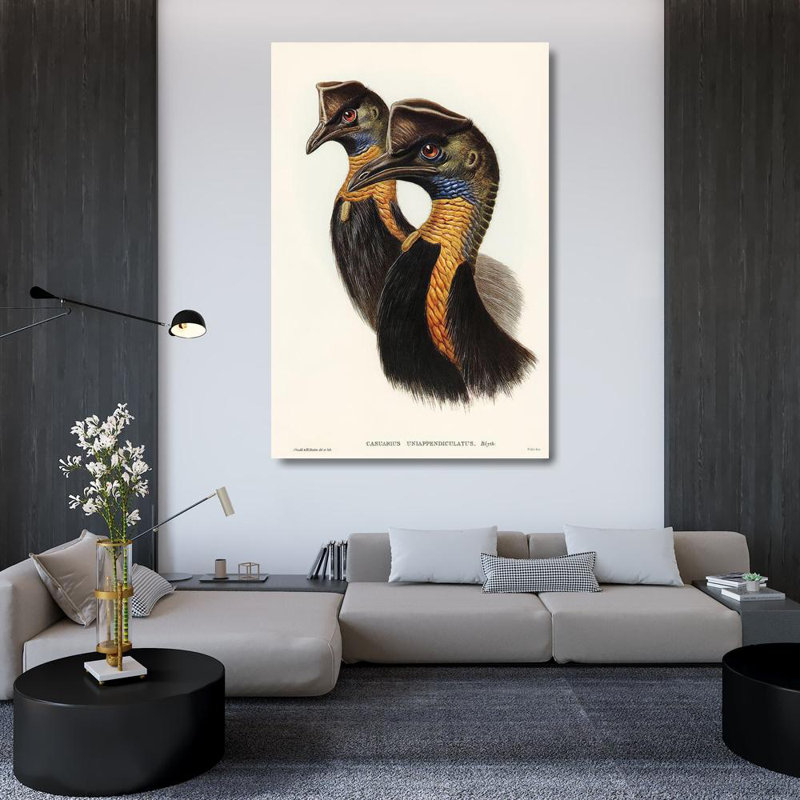 Gould, John Gallery Wrapped Canvas Art: One, carunculated Cassowary, Casuarius uniappendiculatus, 48" H x 33" W