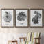 B&W d'intérieur plante I - ensemble de 3 peintures sur toile encadrées-2044643274-2044643285