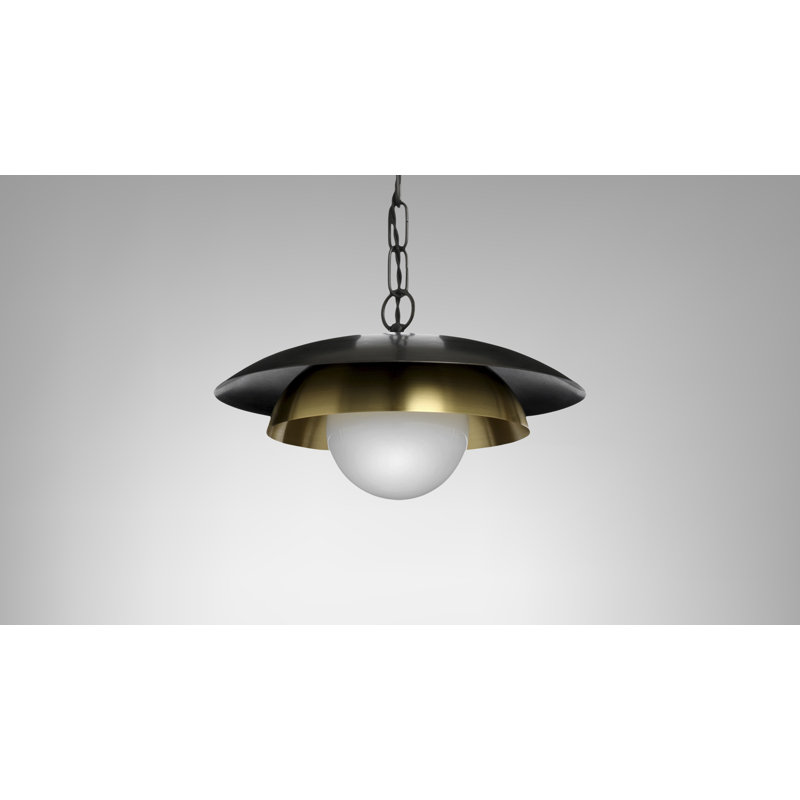 Carapace 1 - Light Pendant