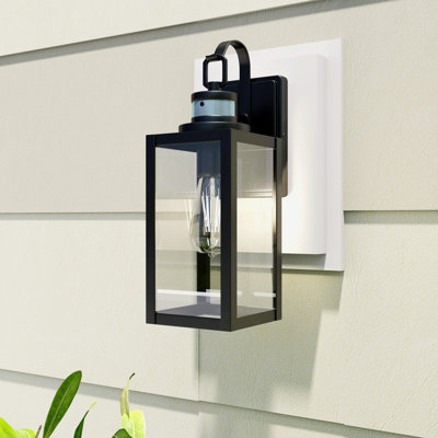 Schlesinger Matte Black 38.1cm H Outdoor Wall Lantern