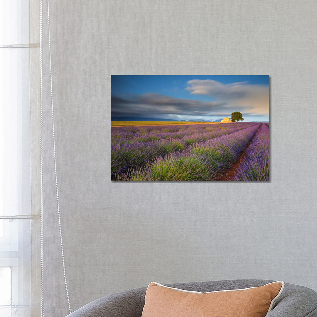 Worth The Wait, Provence, France by Jim Nilsen - Wrapped Canvas Gallery-Wrapped Canvas Giclée