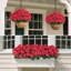 8 paquets de fleurs de géranium artificiel de 18 po pour la décoration extérieure printemps-été