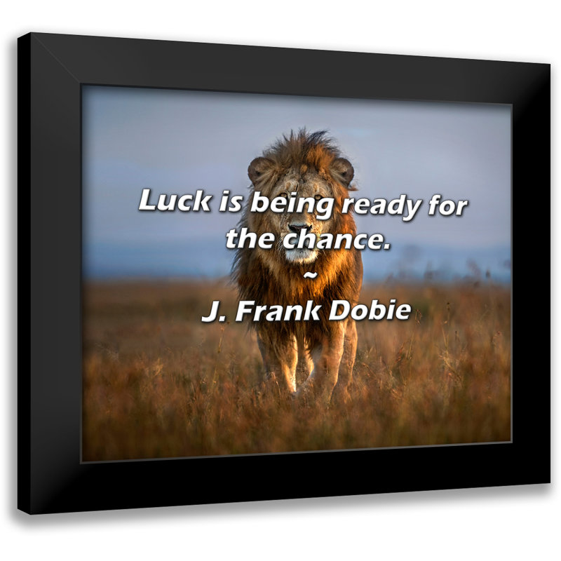 J. Frank Dobie Citation: La chance est prête pour la chance.