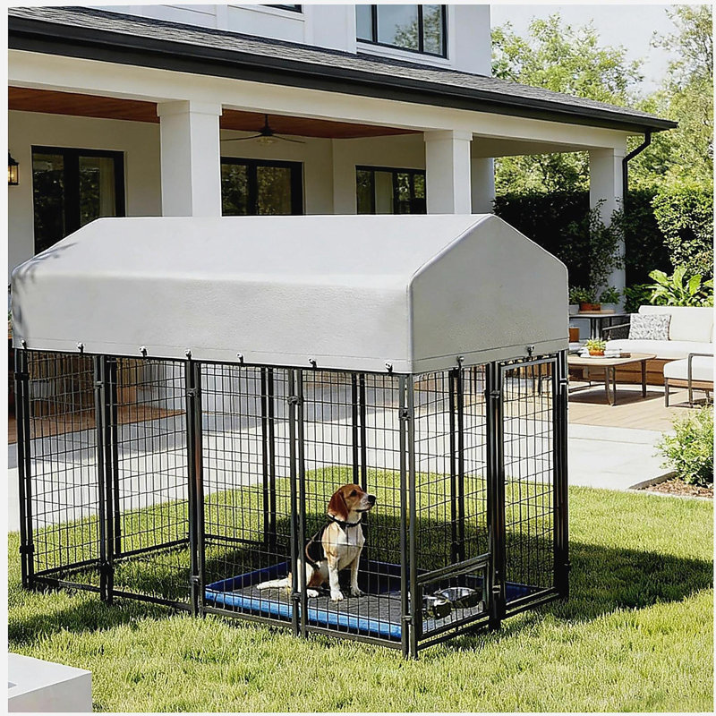 Chenil pour animaux spacieux et extérieur