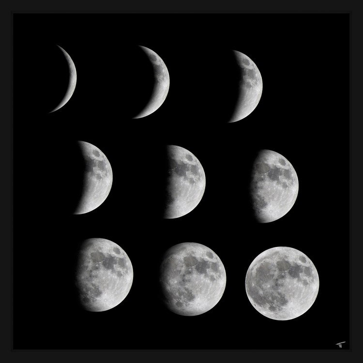 Phases of the Moon III - Reproduction d'art graphique encadré, H 18 po x l 18 po x P 1,5 po