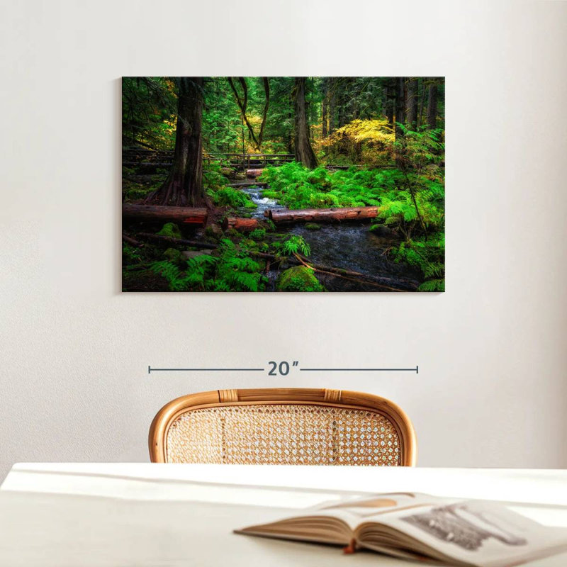 Ruisseau Alvord Willamette National Forest, H 16 po x l 24 po