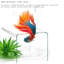 Aquarium 90-100 gallons-129197655-129197658