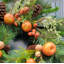 22" Fall Apple Nuts Wreath