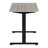 Primo Sit/Stand Electric Desk-1224328827
