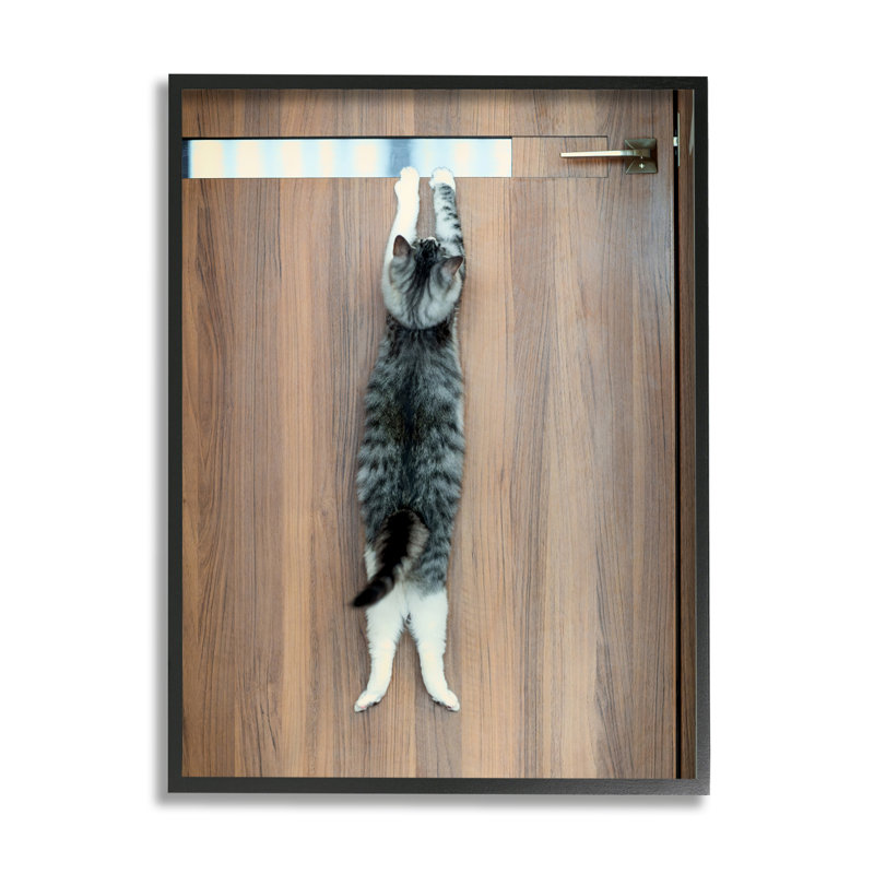 «Ba-361», encadré «Desperate Cat Escaping» encadré sur bois par Kazutoshi Ono, H 14 po x l 11 po x P 1,5 po