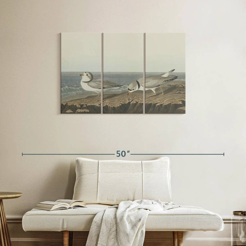 Brampt Piping Plover, 24" H x 38" W