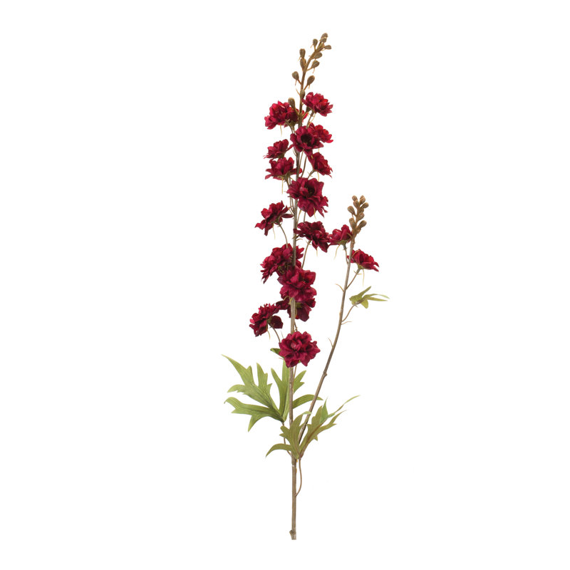 Tiges Kenny Delphinium