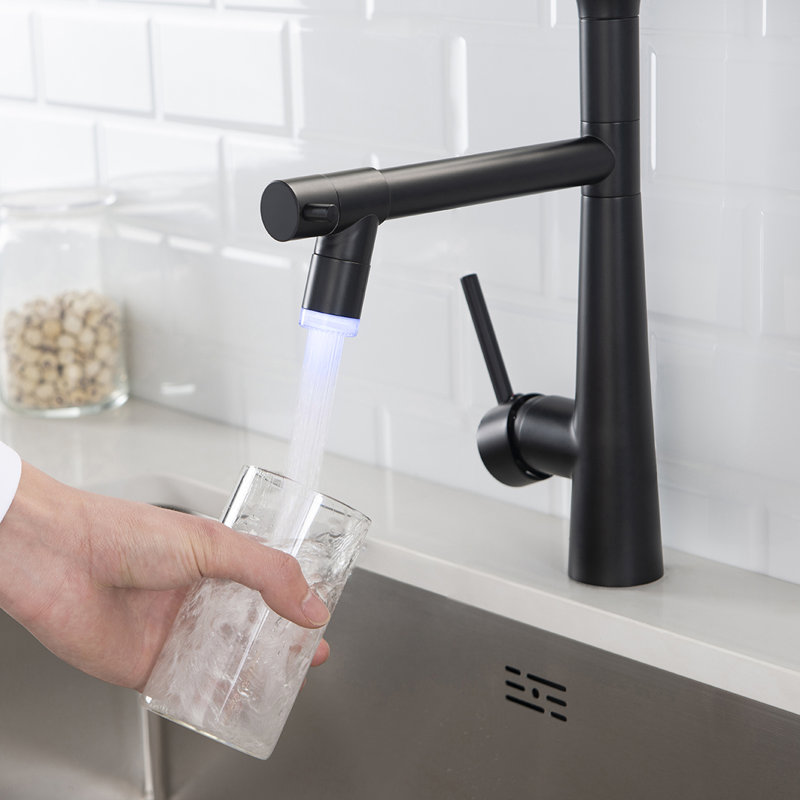 Fapully Pull Down Kitchen Faucet