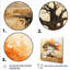 Arbre sauvage d'Afrique, art mural 3-1286532954
