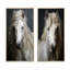 «White Horse Subtle Whispers» «White Horse Subtle Whispers» 2 - pièces sur-1044377245-1044377246