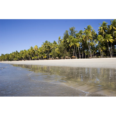Tropical Beach with Palm Trees by Mihau