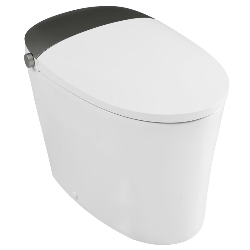 Toilettes allongées modernes avec siège chauffant, conception en céramique durable pour la salle de bain
