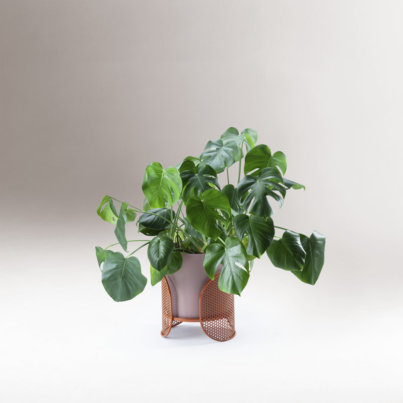 Riviera Ceramic / Porcelain Table Vase, Red