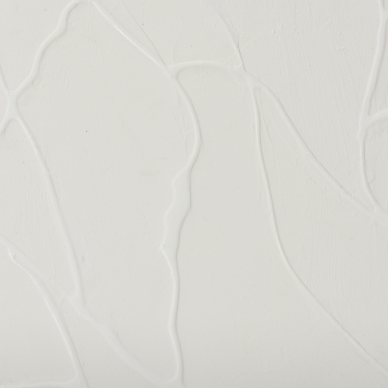 Snow Trails Print