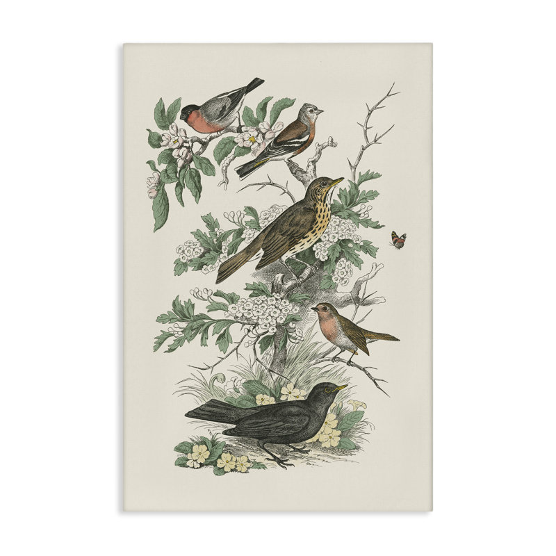 "Honeybloom Birds" perché sur toile par Wild Apple Portfolio, H 24 po x l 16 po