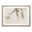 Moth upon a Tree by Kawanabe Kyosai - Picture Frame Painting Print-55581837-55581839