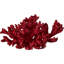 Sculpture en faux corail