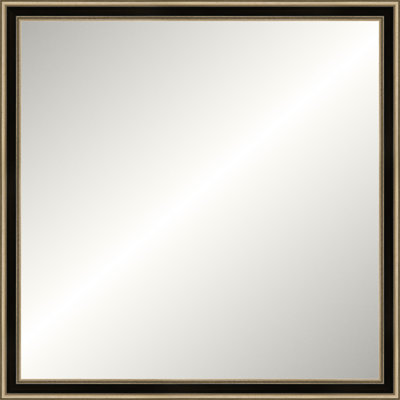 Antique Silver Old World Mirror