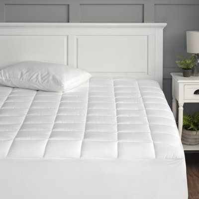 Protège-matelas en coton de qualité égyptienne Martha Stewart
