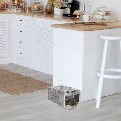 Gamliel Weather Resistant Rat Modular Habitat