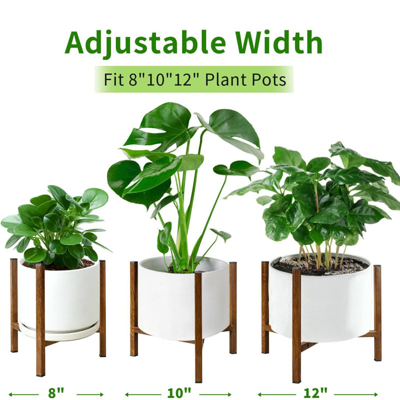 Plant Stand
