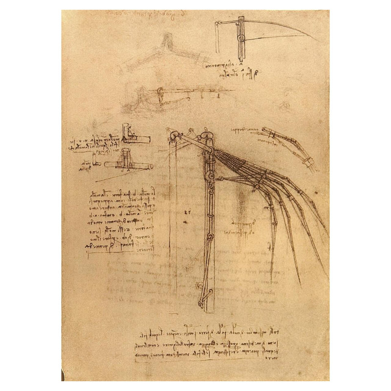 Esquisse pour une aile avec des extrémités mobiles par Leonardo Da Vinci - Estampe numérique, H 40 po x l 32 po