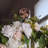 Attract Pinch-Free Magnetic Wreath Hanger-61058062-61073130
