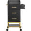 Chariot utilitaire H 34,25 po x l 21,06 po
