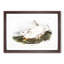 Northern Hare in Winter by J.W. Audubon - Picture Frame Painting Print-55724894-55724895
