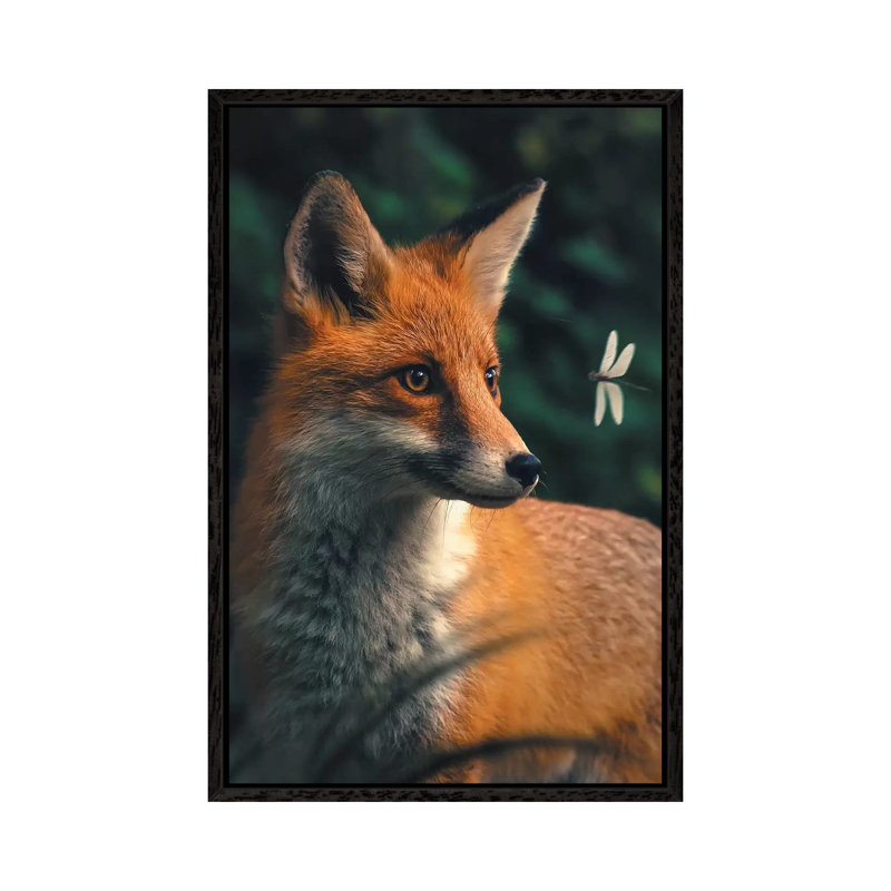 Fox Dragonfly by Zenja Gammer - Print on Canvas, 66.04 cm H x 45.72 cm W, Black Framed
