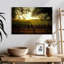 Alvord Oakville Vineyard-107685205