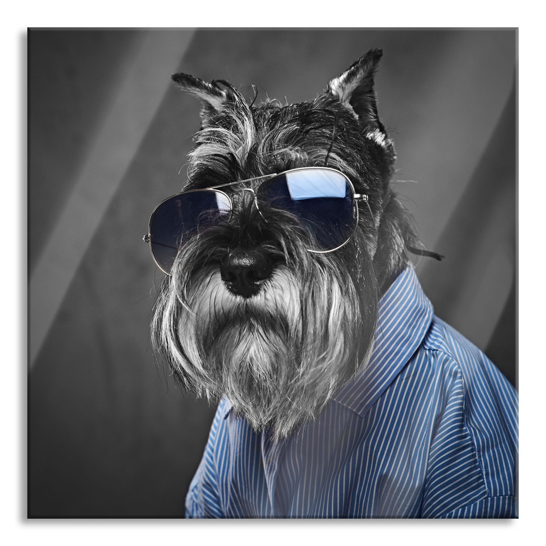 Glasbild Lustiger Hund mit Hemd und Sonnenbrille