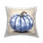 No Decorative Addition Throw Pillow